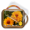 desktop flowers